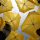 Protesters open umbrellas to form the numbers 2-0-1-2 as year '2012' in a Hong Kong park Sunday, Oct. 7, 2007, as they demand the right to pick the city's leader and entire legislature in 2012. The government has issued a consultation paper containing various proposals on how and when the city's leader and legislature should be elected. However, pro-democracy lawmakers who want direct elections as soon as possible have criticized the document, saying it's confusing to the public because it lists many options.